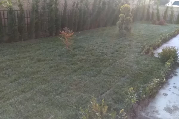 Yazlık İşyeri ve Konut Projesi (6)
