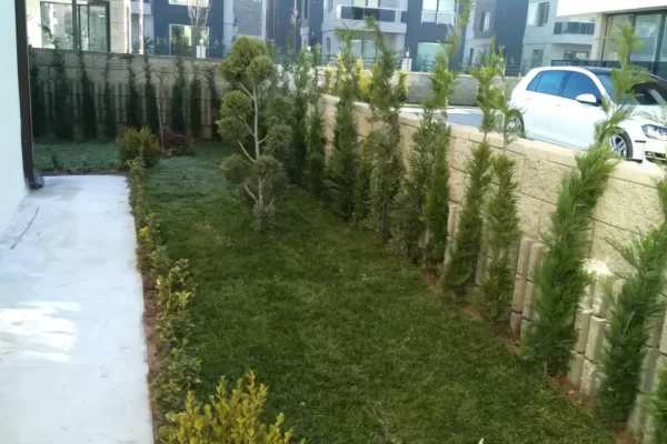 Yazlık İşyeri ve Konut Projesi (8)